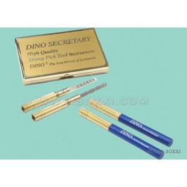 Dino Secretary