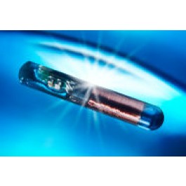Silca GTI Glass Chip