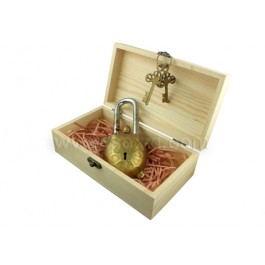 Antique Lock-Tortoise
