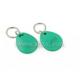 LF Key Fob Tag (Green)