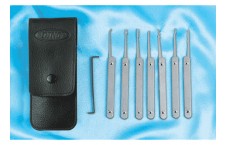 Dino Lock Pick Set (8pcs)