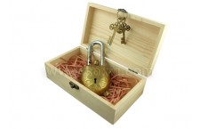 Antique Lock-Tortoise