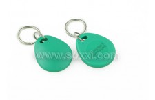 LF Key Fob Tag (Green)