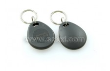 LF Key Fob Tag (Grey)