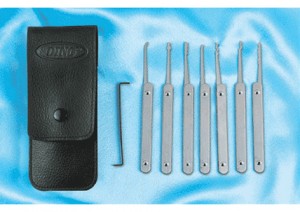 Dino Lock Pick Set (8pcs)