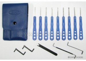 Blue Stainless 14 Pcs Pick Set