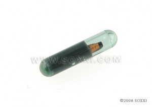 T5 Glass
