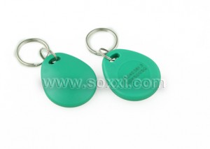 LF Key Fob Tag (Green)