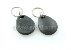LF Key Fob Tag (Grey)