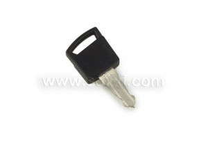 TSA002 178 OEM Precut Key